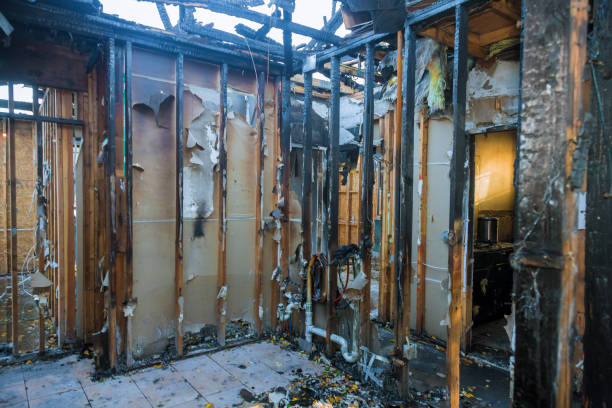 Professional Fire Damage Removal technician working in Dayton, MN