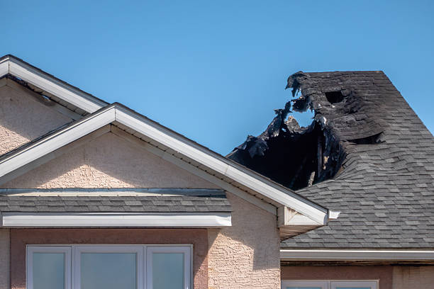 Top rated local Fire Damage Removal specialists in Dayton, MN